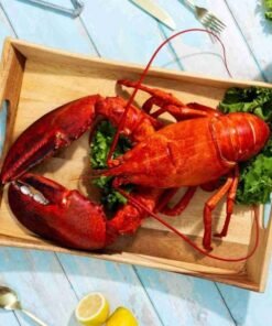 6 lb – 8 lb Live Canadian Lobster
